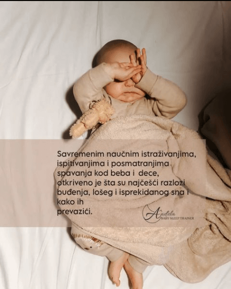 BabySleepTeam Gallery